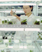 <b>种子法点窜的几个问题</b>